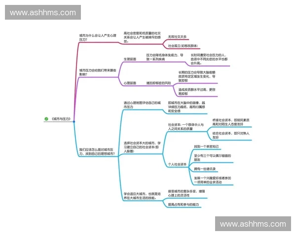以体育为纽带构建全民参与的城市社交新生态平台发展路径研究