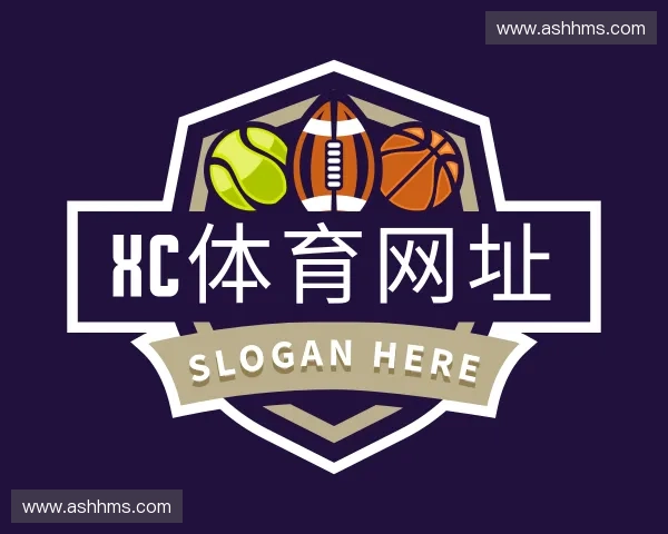 介绍xc体育网址